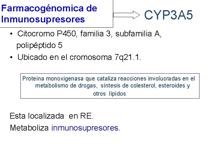 Farmacogénomica de Inmunosupresores CYP 3 A 5 • Citocromo P 450, familia 3, subfamilia