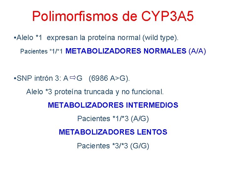 Polimorfismos de CYP 3 A 5 • Alelo *1 expresan la proteína normal (wild