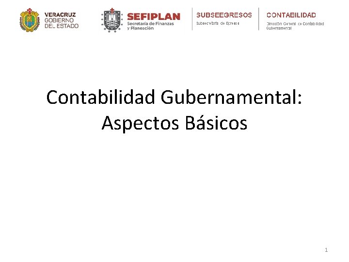 Contabilidad Gubernamental: Aspectos Básicos 1 