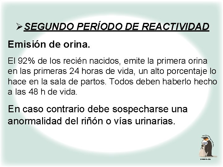 ØSEGUNDO PERÍODO DE REACTIVIDAD Emisión de orina. El 92% de los recién nacidos, emite