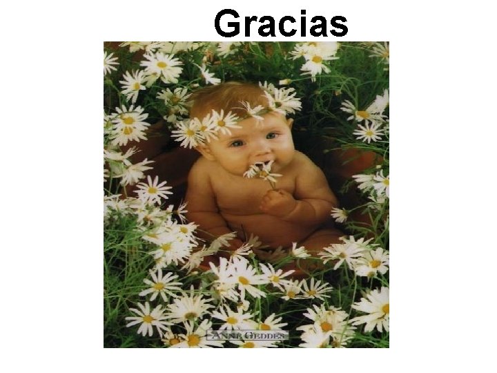 Gracias 