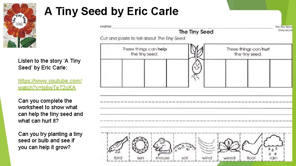 A Tiny Seed by Eric Carle Listen to the story ‘A Tiny Seed’ by