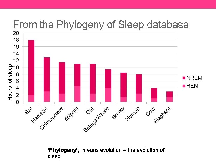 Hours of sleep From the Phylogeny of Sleep database ‘Phylogeny’, means evolution – the