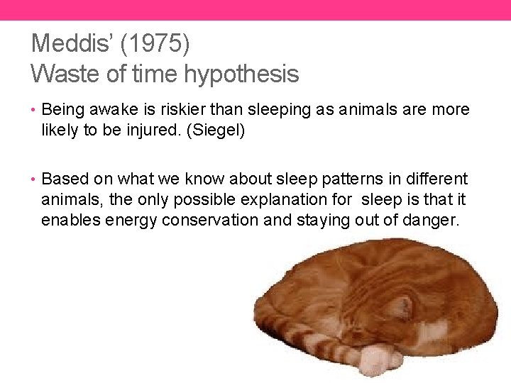 Meddis’ (1975) Waste of time hypothesis • Being awake is riskier than sleeping as
