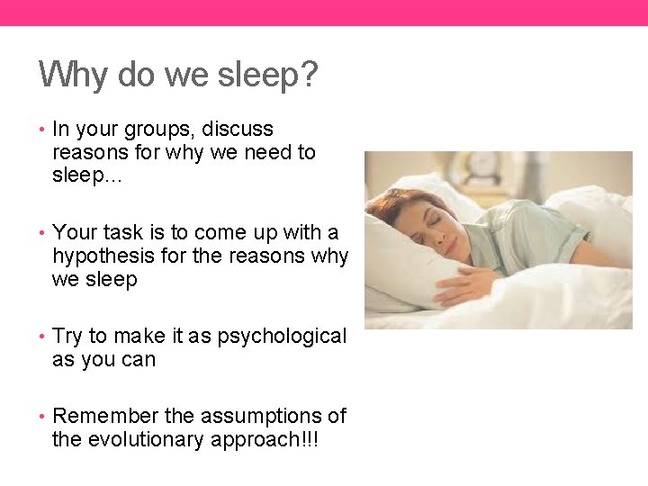 Why do we sleep? • In your groups, discuss reasons for why we need