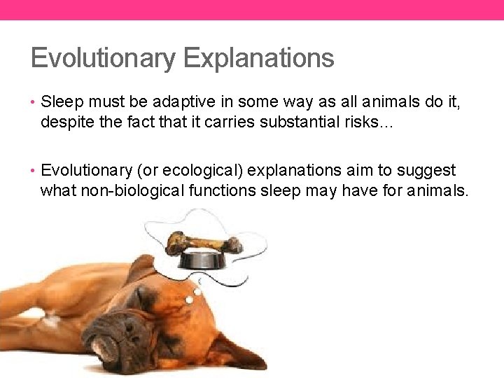 Evolutionary Explanations • Sleep must be adaptive in some way as all animals do