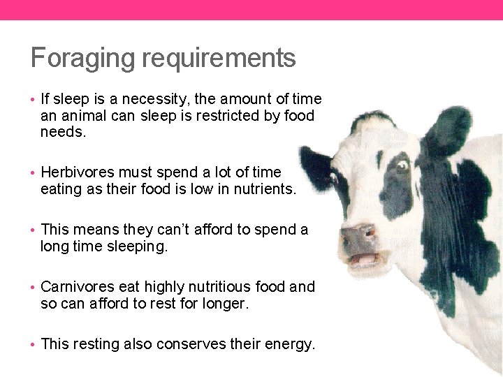 Foraging requirements • If sleep is a necessity, the amount of time an animal
