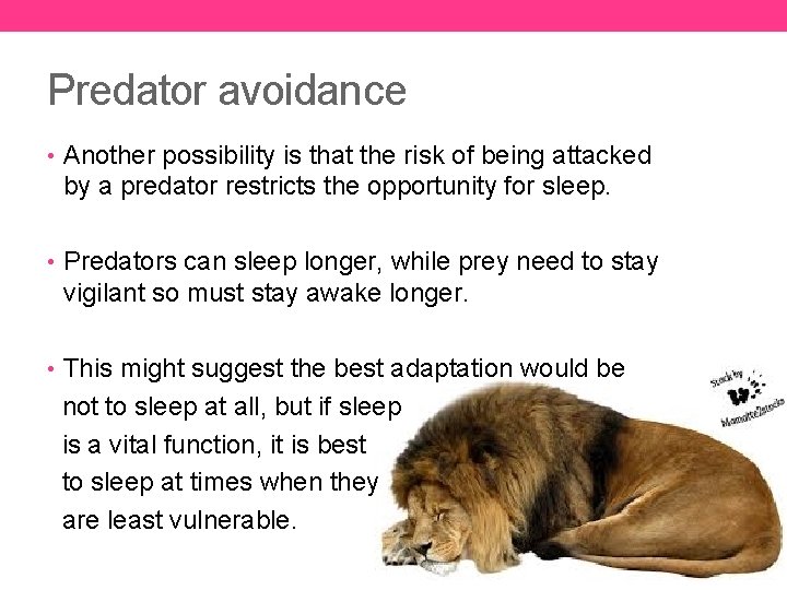 Predator avoidance • Another possibility is that the risk of being attacked by a