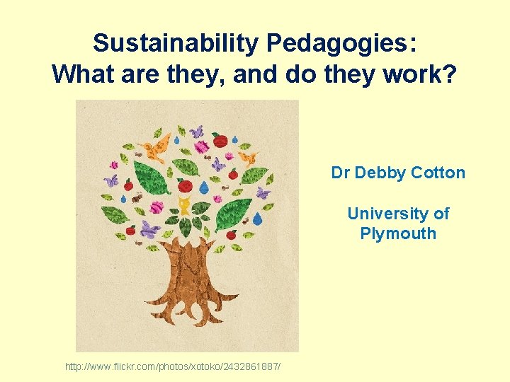Sustainability Pedagogies: What are they, and do they work? Dr Debby Cotton University of