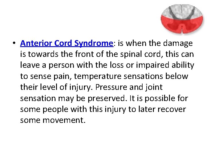  • Anterior Cord Syndrome: is when the damage is towards the front of