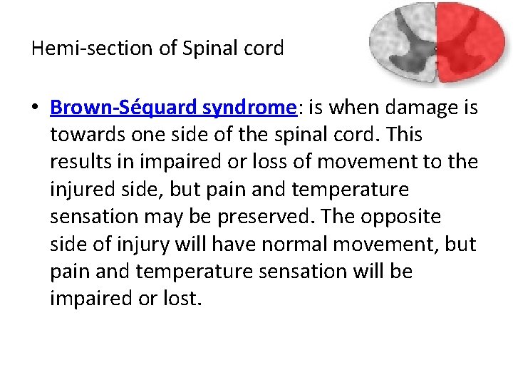 Hemi-section of Spinal cord • Brown-Séquard syndrome: is when damage is towards one side