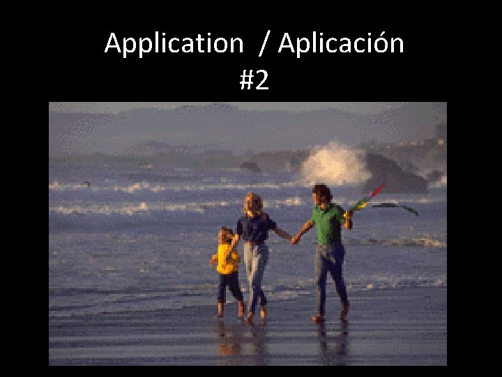 Application / Aplicación #2 