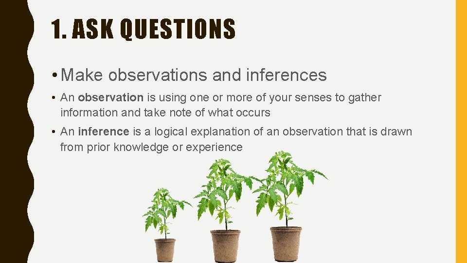 1. ASK QUESTIONS • Make observations and inferences • An observation is using one