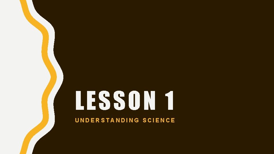 LESSON 1 UNDERSTANDING SCIENCE 