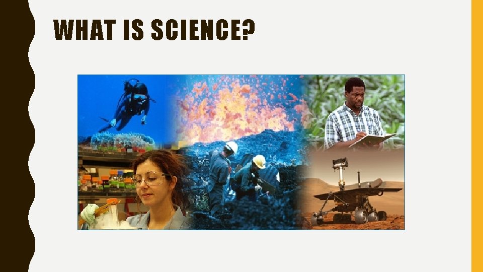 WHAT IS SCIENCE? 