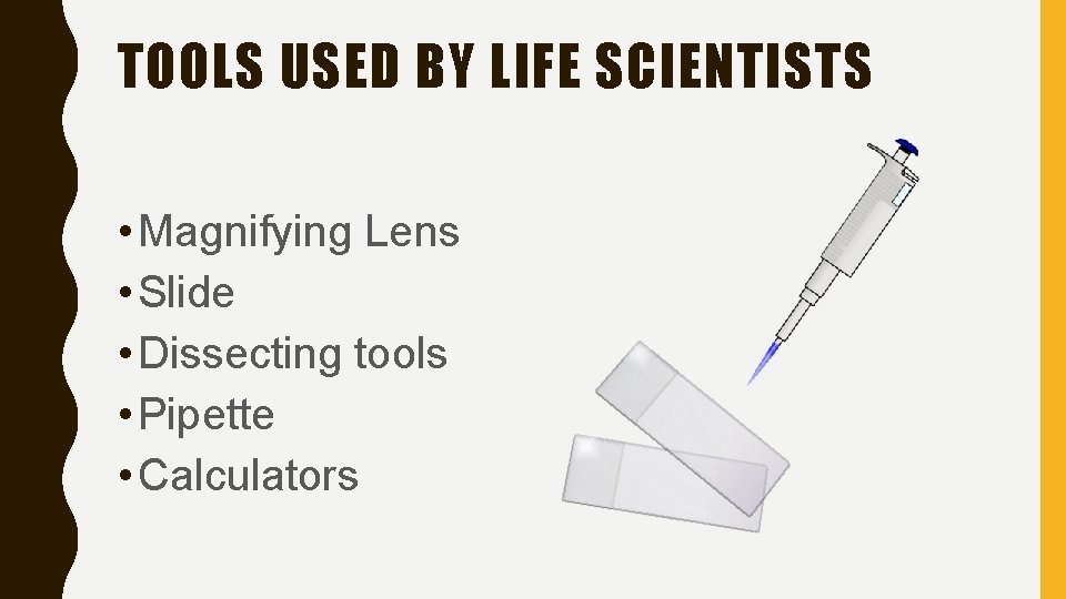 TOOLS USED BY LIFE SCIENTISTS • Magnifying Lens • Slide • Dissecting tools •