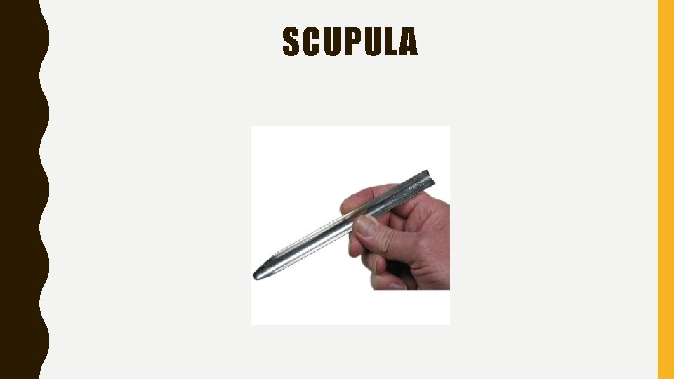 SCUPULA 