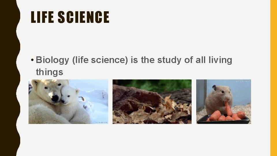 LIFE SCIENCE • Biology (life science) is the study of all living things 