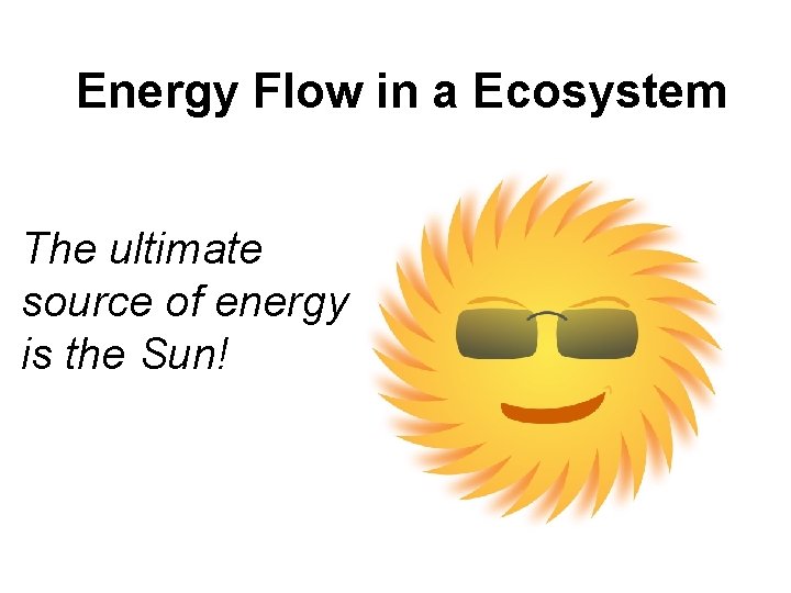 Energy Flow in a Ecosystem The ultimate source of energy is the Sun! 