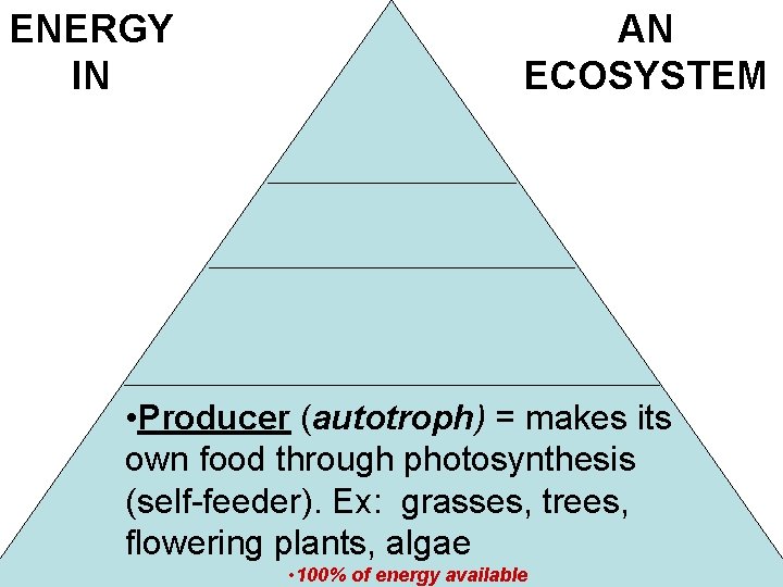 ENERGY IN AN ECOSYSTEM • Producer (autotroph) = makes its own food through photosynthesis