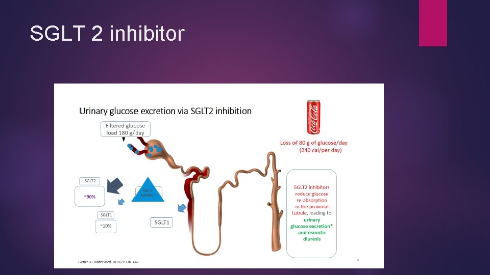 SGLT 2 inhibitor 