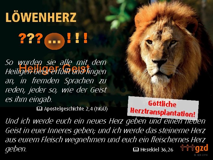 ? ? ? … ! ! ! So wurden sie alle mit dem Heiliger