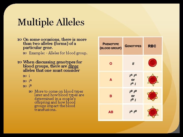 Multiple Alleles On some occasions, there is more than two alleles (forms) of a