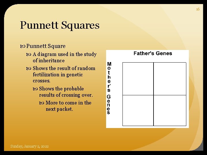 16 Punnett Squares Punnett Square A diagram used in the study of inheritance Shows