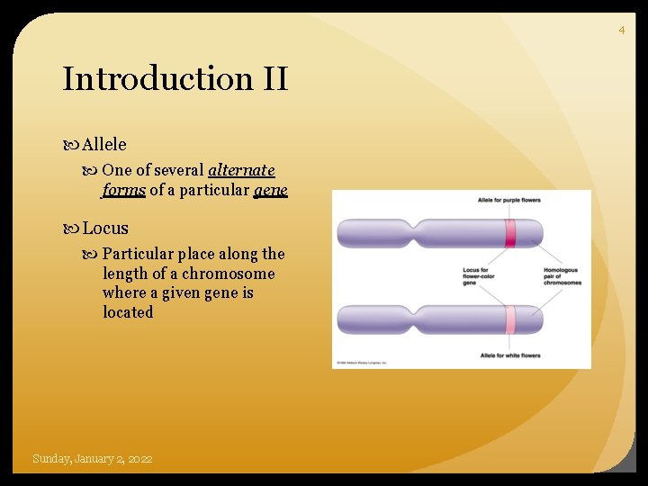 4 Introduction II Allele One of several alternate forms of a particular gene Locus