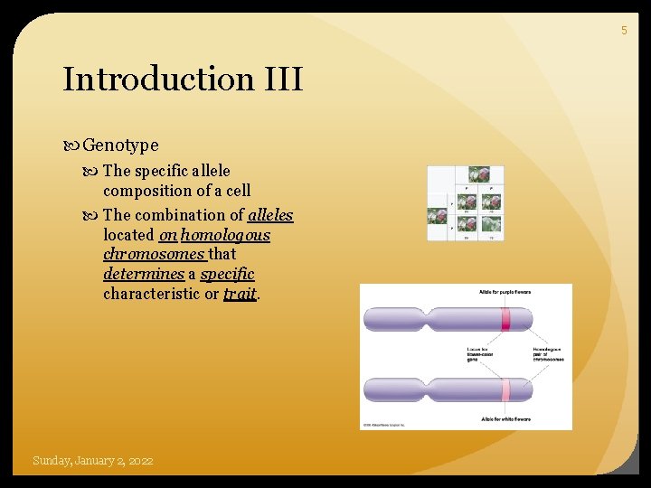 5 Introduction III Genotype The specific allele composition of a cell The combination of