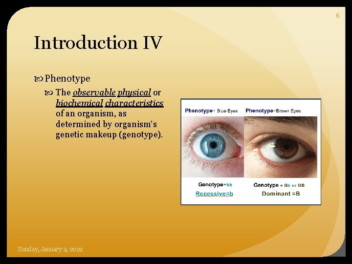 6 Introduction IV Phenotype The observable physical or biochemical characteristics of an organism, as