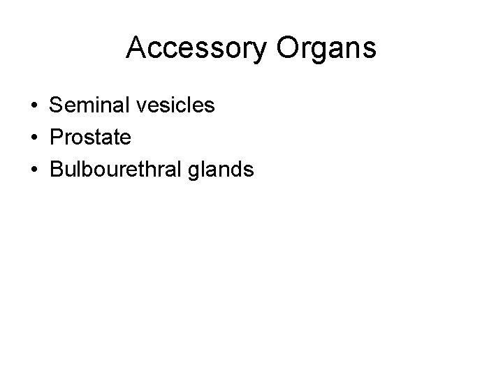 Accessory Organs • Seminal vesicles • Prostate • Bulbourethral glands 