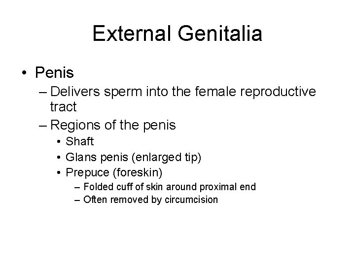 External Genitalia • Penis – Delivers sperm into the female reproductive tract – Regions