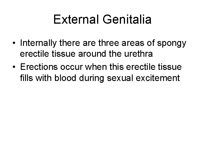 External Genitalia • Internally there are three areas of spongy erectile tissue around the