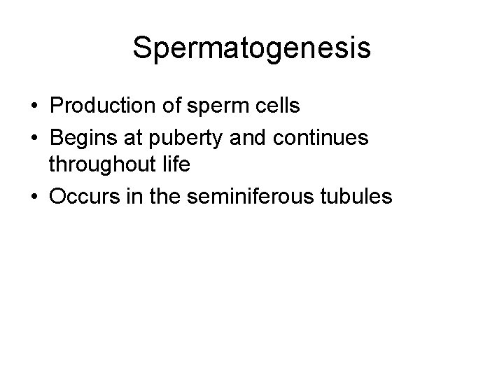 Spermatogenesis • Production of sperm cells • Begins at puberty and continues throughout life
