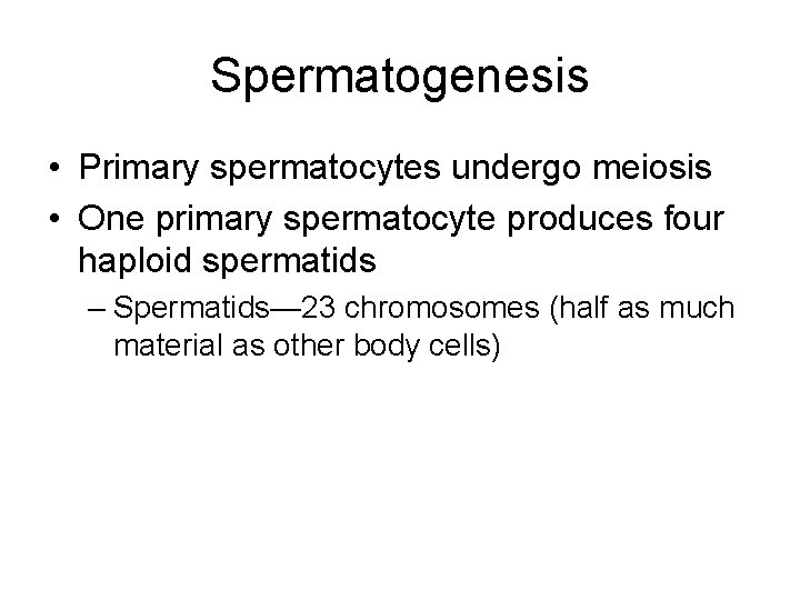Spermatogenesis • Primary spermatocytes undergo meiosis • One primary spermatocyte produces four haploid spermatids