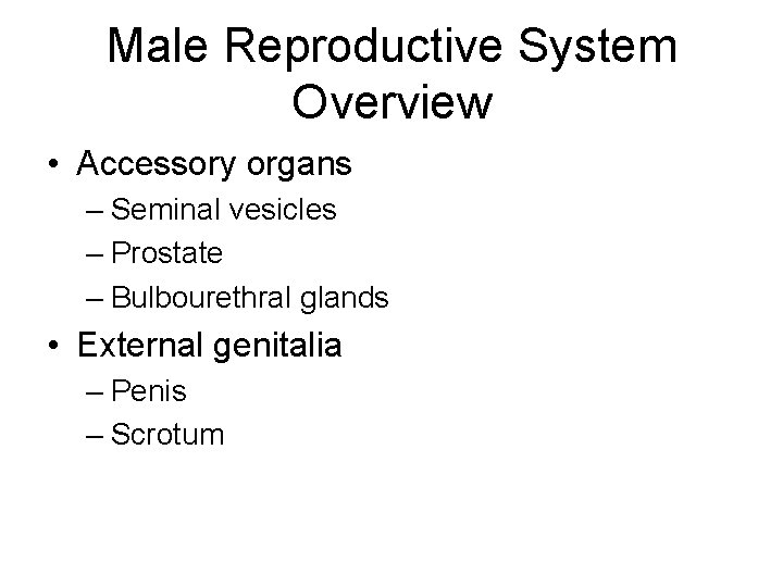 Male Reproductive System Overview • Accessory organs – Seminal vesicles – Prostate – Bulbourethral