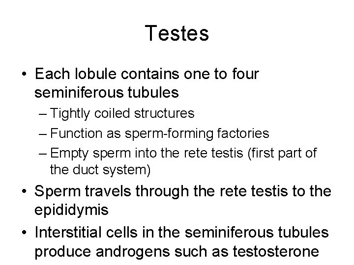 Testes • Each lobule contains one to four seminiferous tubules – Tightly coiled structures
