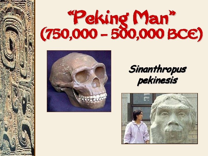 “Peking Man” (750, 000 – 500, 000 BCE) Sinanthropus pekinesis 