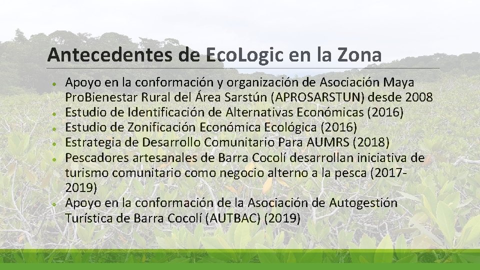 Antecedentes de Eco. Logic en la Zona ● ● ● Apoyo en la conformación