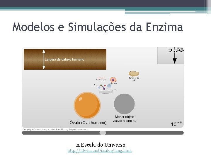 Modelos e Simulações da Enzima A Escala do Universo http: //htwins. net/scale 2/lang. html