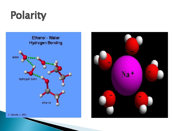 Polarity 