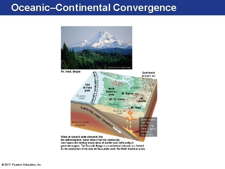 Oceanic–Continental Convergence © 2017 Pearson Education, Inc. 