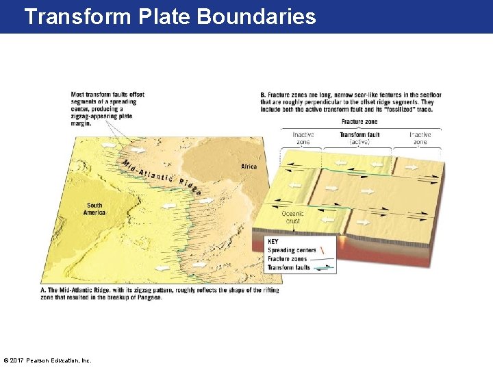 Transform Plate Boundaries © 2017 Pearson Education, Inc. 