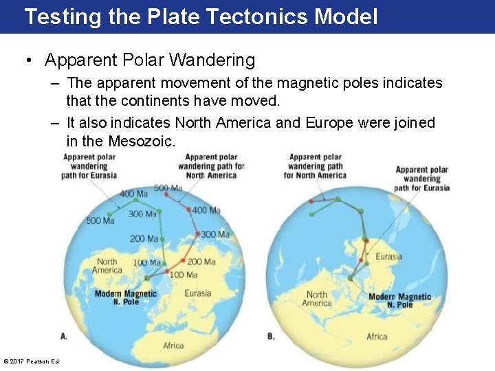 Testing the Plate Tectonics Model • Apparent Polar Wandering – The apparent movement of