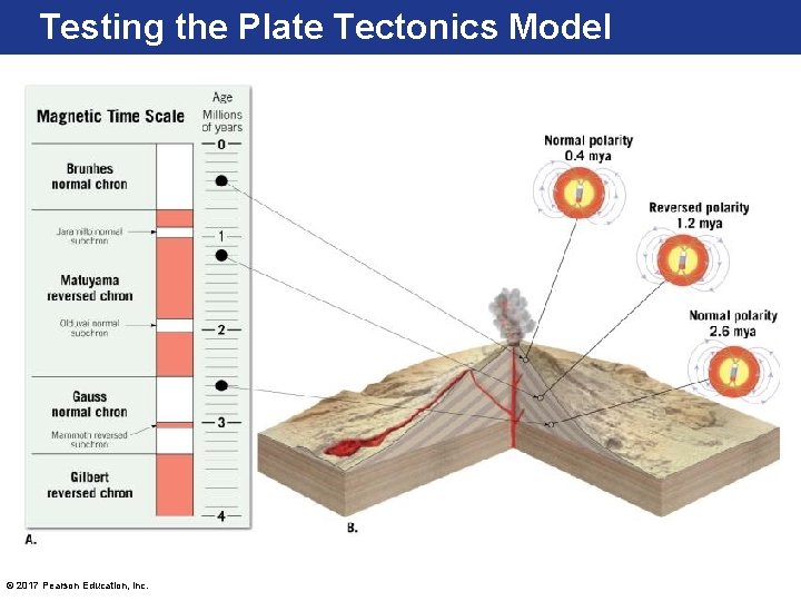 Testing the Plate Tectonics Model © 2017 Pearson Education, Inc. 