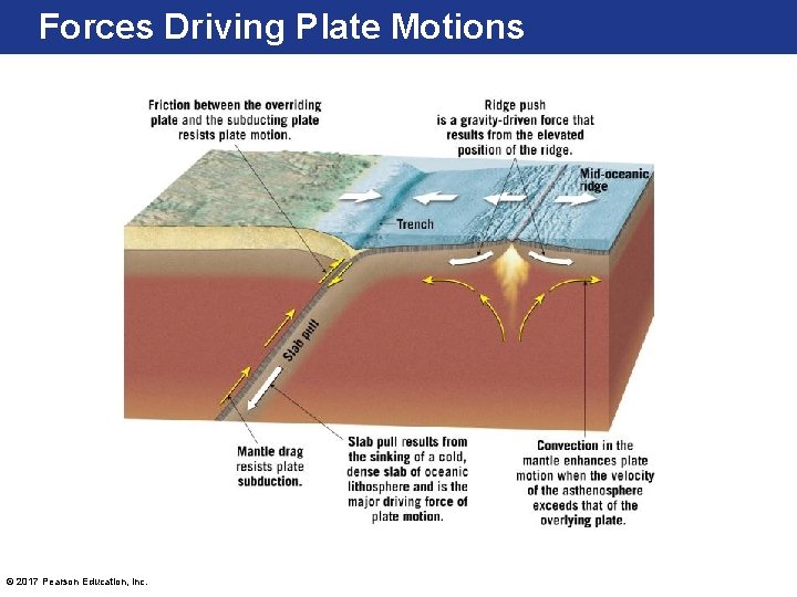 Forces Driving Plate Motions © 2017 Pearson Education, Inc. 