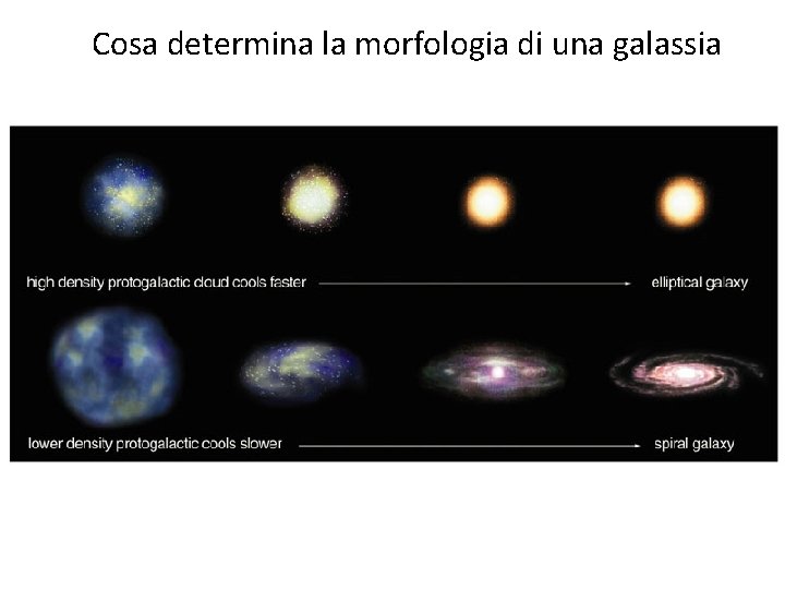 Cosa determina la morfologia di una galassia 