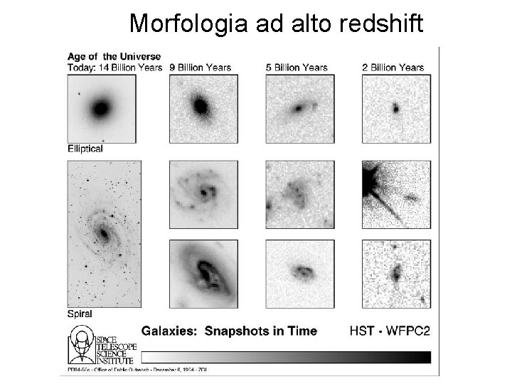 Morfologia ad alto redshift 