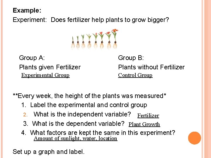 Example: Experiment: Does fertilizer help plants to grow bigger? Group A: Plants given Fertilizer